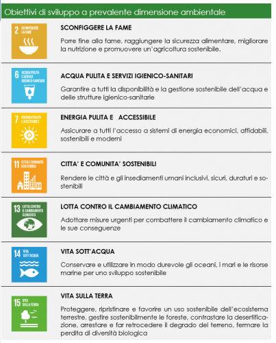 SDGs Dimensione ambientale